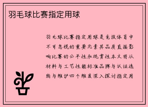 羽毛球比赛指定用球
